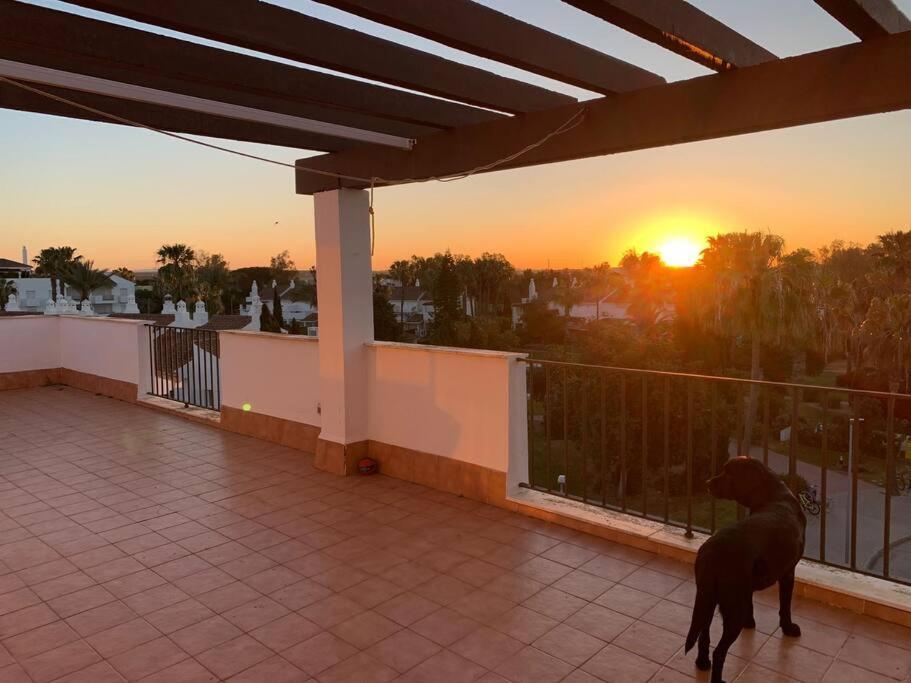 Atico Costa Ballena - Cadiz Rota Zewnętrze zdjęcie